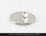 Mobile Phone Magnet